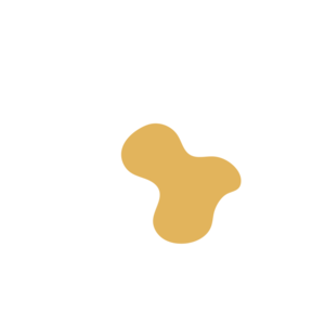 7d937e8e-placeholder-1770008135