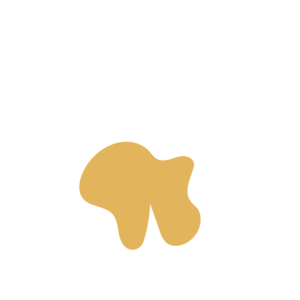 860164e8-placeholder-1768563999