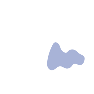 00acc2e2-placeholder-1768563900