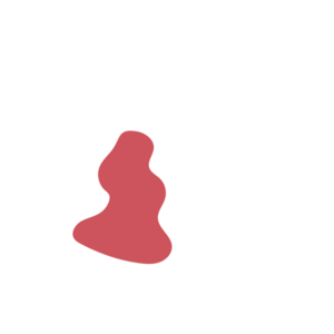 213f1406-placeholder-1770022253