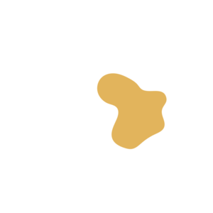 7dbead97-placeholder-1770007751