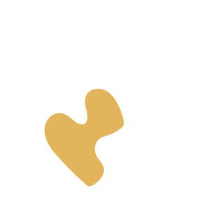 062b80a9-placeholder-1770007645