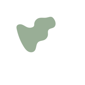 369d33de-placeholder-1770025619