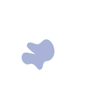 8fc6b1e1-placeholder-1770046730