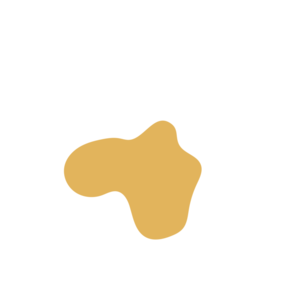 769b8cf2-placeholder-1770051862