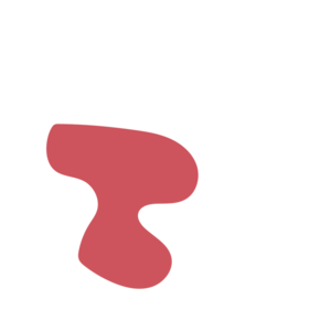 Ee45ec2c-placeholder-1770056404