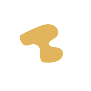 88509412-placeholder-1769995098