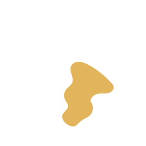 B02d1fa4-placeholder-1770012749