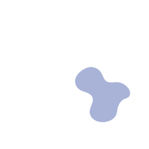 396d31fd-placeholder-1770013536