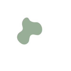 D8c7c4c5-placeholder-1770010735