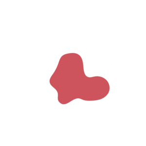 D306a333-placeholder-1770011461