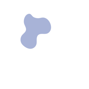 E82c35c6-placeholder-1770026839