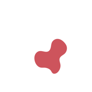 8502a3a5-placeholder-1770022096