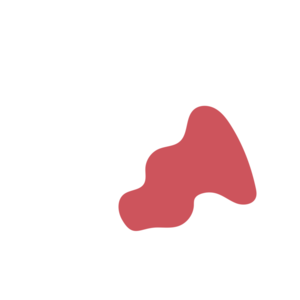 Cc8a9607-placeholder-1770018825