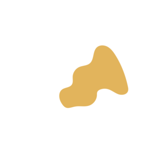 Df216a7a-placeholder-1770022003