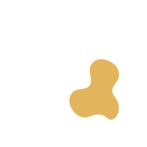 23159a9b-placeholder-1770023654