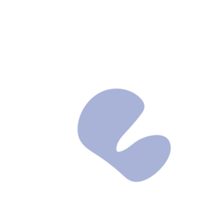 125c9761-placeholder-1770005713