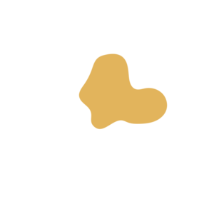 E70e8097-placeholder-1770026833