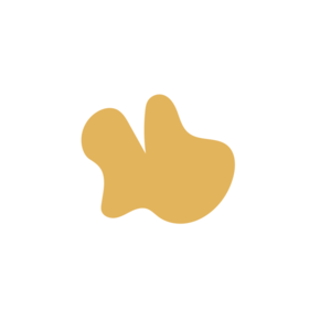 4ef48fec-placeholder-1770005424