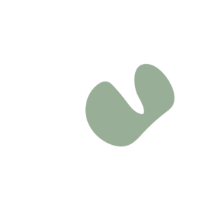 36c2e903-placeholder-1770007886