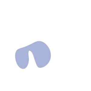 A401098c-placeholder-1770017166