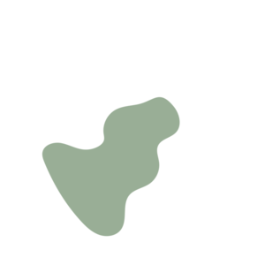 2e11fb0c-placeholder-1770054904