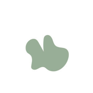 55c5a5e2-placeholder-1770015377