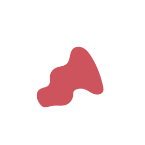 219edb1f-placeholder-1770024236