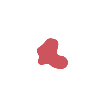 2510cff1-placeholder-1770011194