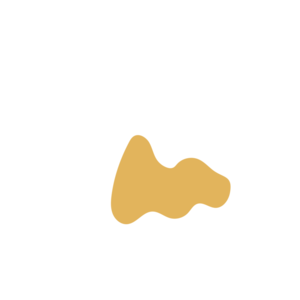 6d9d7dd2-placeholder-1769020052