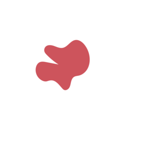 959a557f-placeholder-1770055580