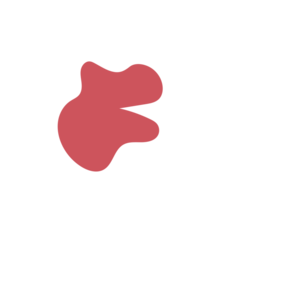 951726e7-placeholder-1770008443