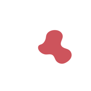 8f39c8f3-placeholder-1770017816