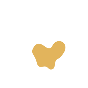 42e85a3a-placeholder-1770031975