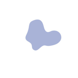 Ecd9b364-placeholder-1770013140