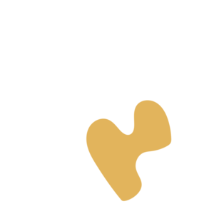 Ab14a563-placeholder-1770026695