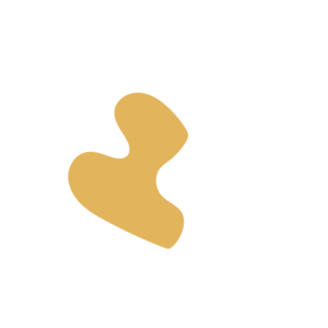 A8dc1c88-placeholder-1770021955