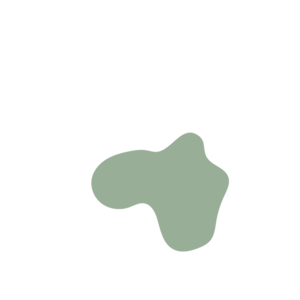 D7521a5a-placeholder-1770007762