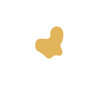 6be69dfa-placeholder-1769996985