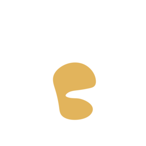 42cce553-placeholder-1769994273