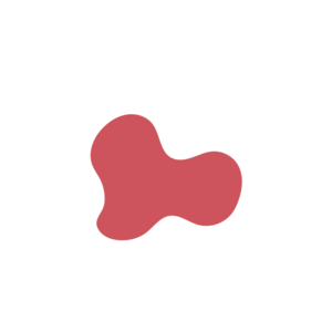 3fccc495-placeholder-1770012554