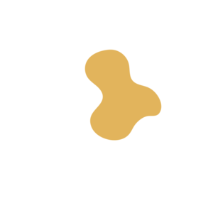 15ff598f-placeholder-1769641109