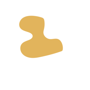 B144649a-placeholder-1769996989