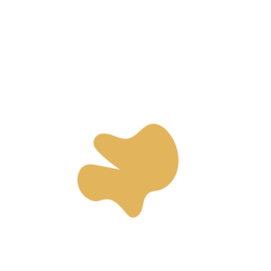 8945a25a-placeholder-1770006304