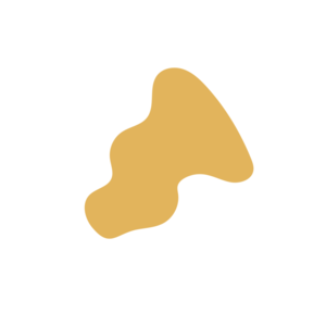 5e71d07c-placeholder-1770013054