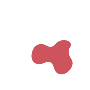 Bd169e14-placeholder-1770054485