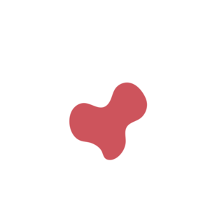 6895e938-placeholder-1770014159