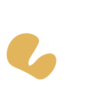 8d214816-placeholder-1770016140