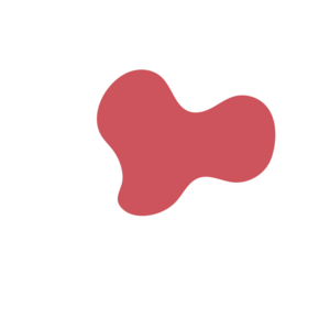 A1287557-placeholder-1770013632