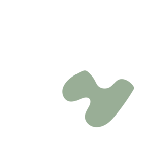 0727b650-placeholder-1770049261